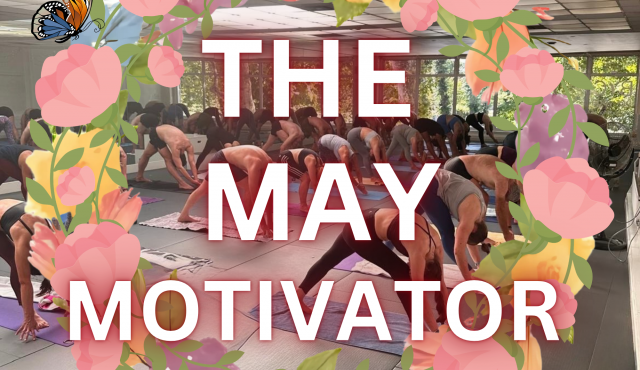 may-motivator